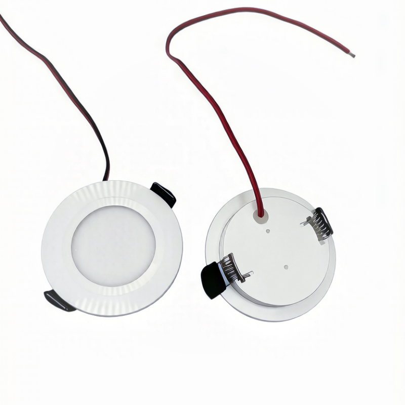 Lâmpada de teto pequena LED DC - Home Bathroom Sauna avaliação e preço