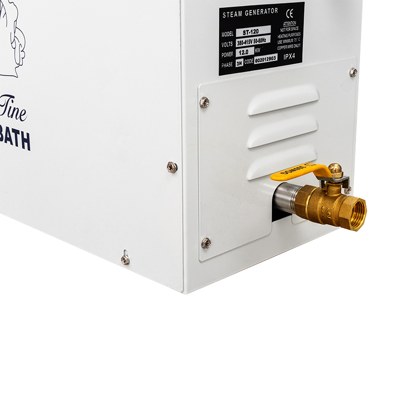 Gerador de Vapor Acessível de  - Home Bathroom Sauna avaliação e preço